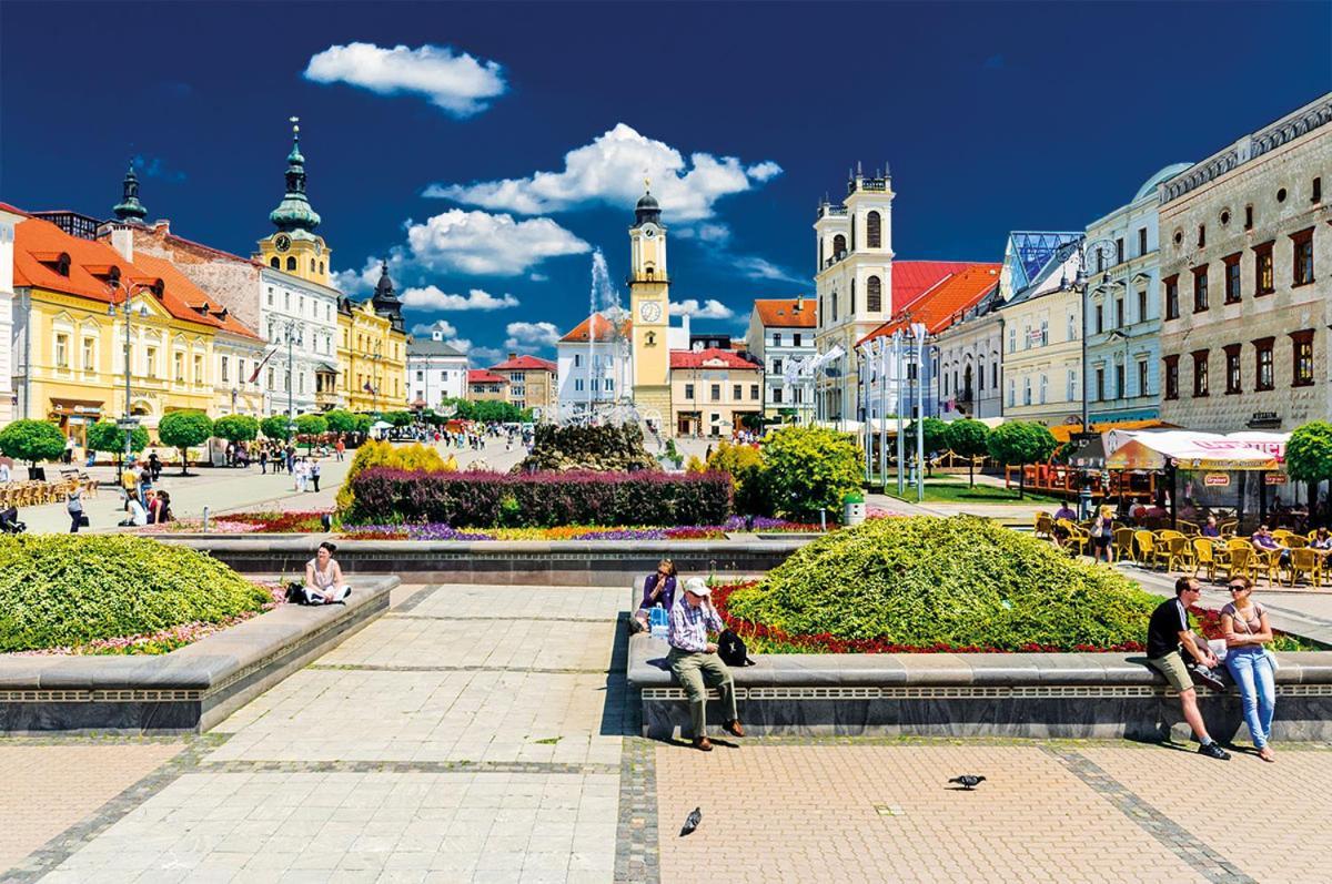 Apartman Terminal, Self Check-In 24 H, Free Parking Banská Bystrica Esterno foto